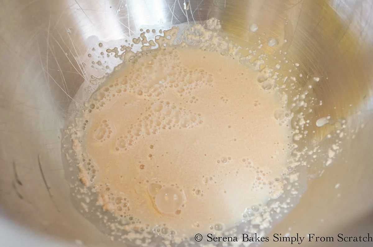 Water, yeast, and sugar mixed together in a stainless steel mixing bowl.