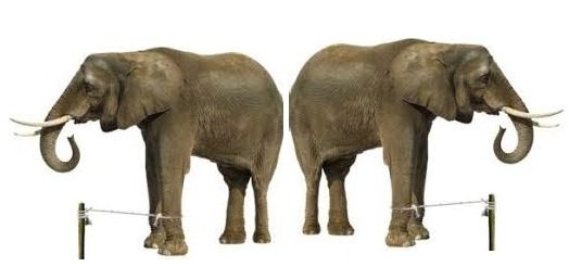 Dun Giljan's Blog: The Elephant Rope