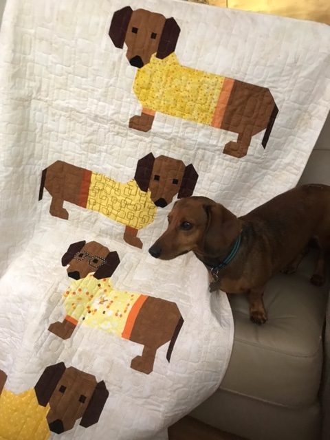 Cozy Little Quilts: Quilt Finishes of 2017