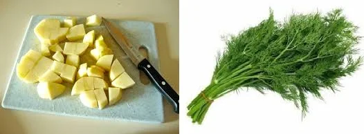 cut-the-vegetables