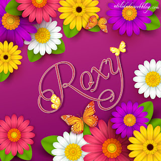 imagenes con nombre roxy