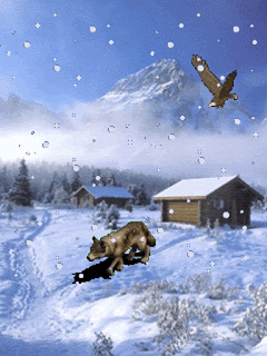 iarna, fulgi ,lup ,vultur ,snow