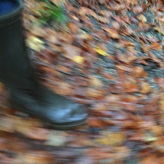 Gummistiefel auf Herbstlaub 