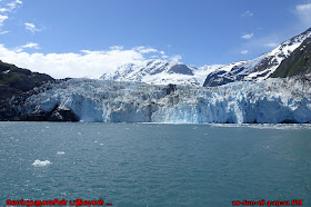 Surprise Glacier Inlet Viewpoint