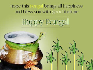 happy pongal wallpaper