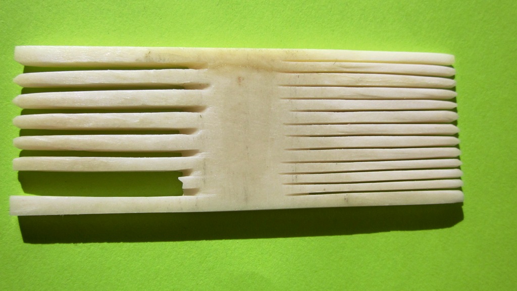 Ercc Glaison: Healthy Bones Finished (Bone Comb)