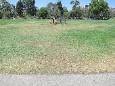 park lawn by La Brea Tar Pits park lawn by La Brea Tar Pits