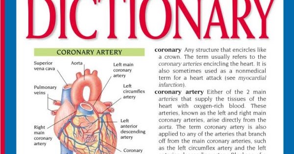 merriam webster medical dictionary pdf merriam webster medical dictionary pdf