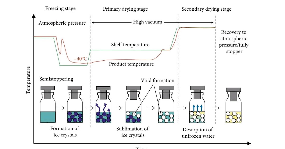 Pharma Knowledge Lyophilization or Freeze Drying