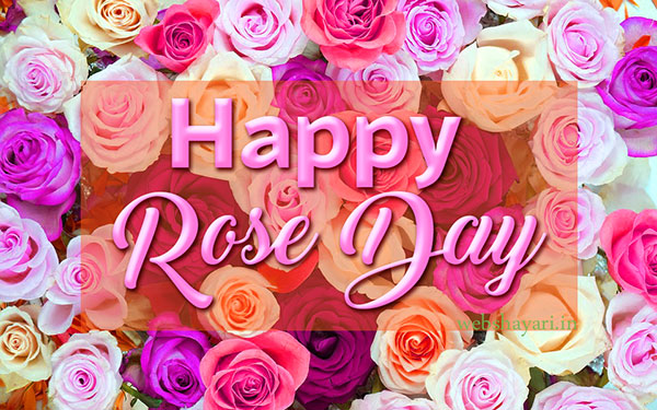 quotes world rose day