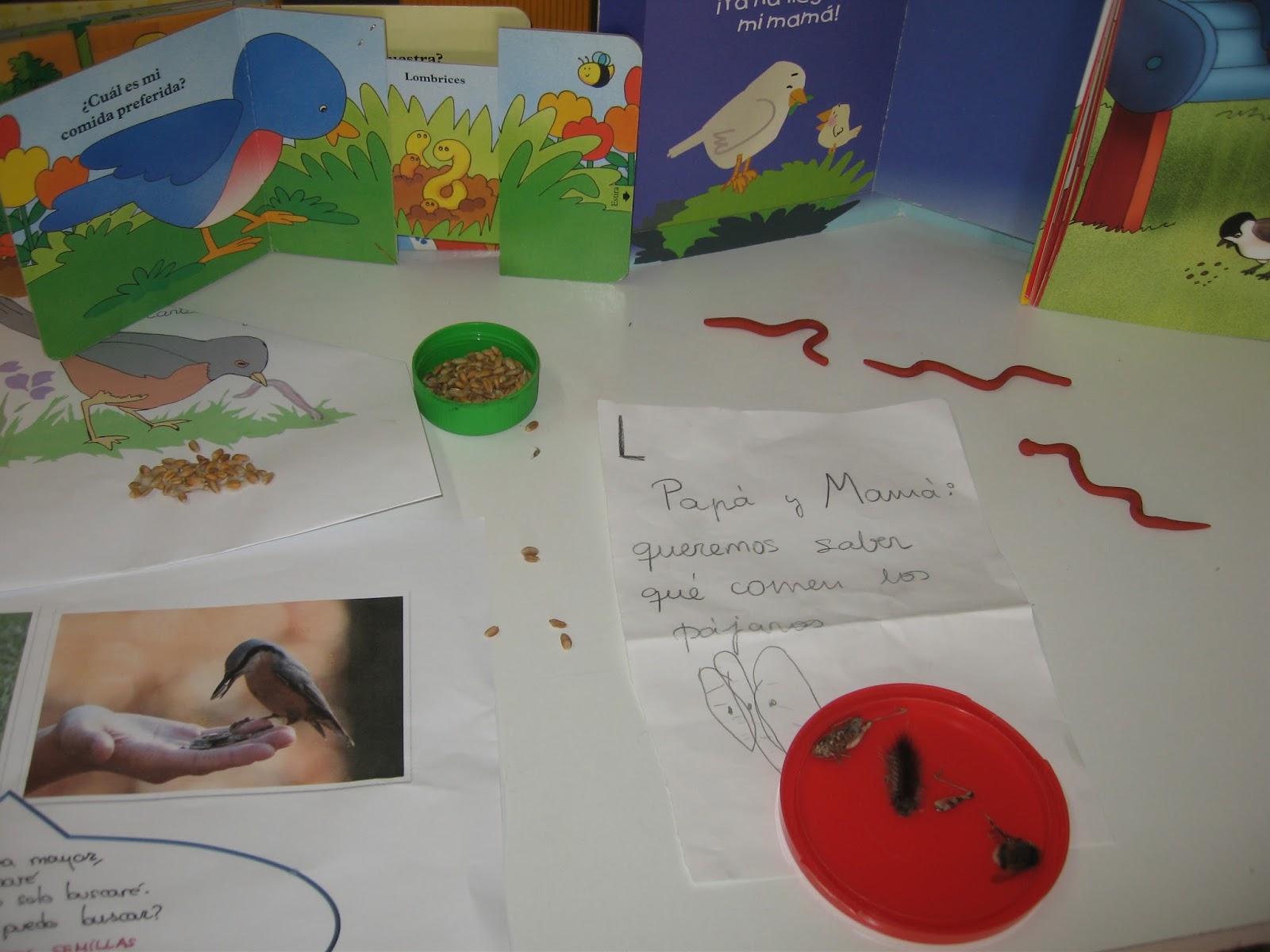 Espacio Duendes: Proyecto Los pájaros