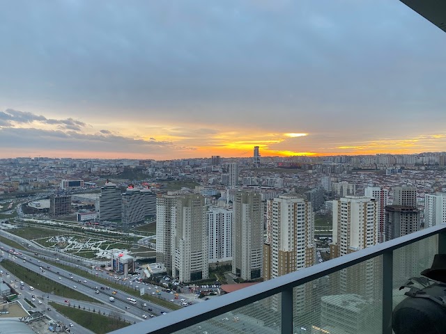 世界一汚い音の言語と、世界一美しい音の言語 TOP10