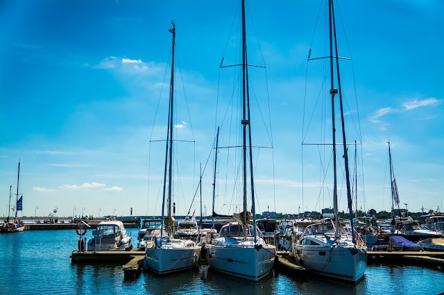 DSC_6804.jpg
