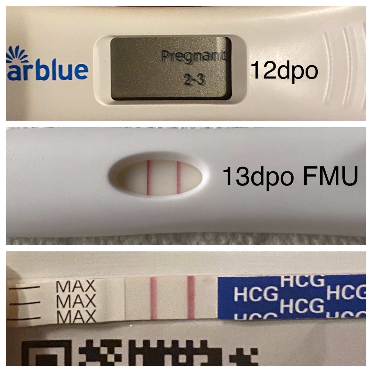 Pregnancy Test info, pics and tid bits