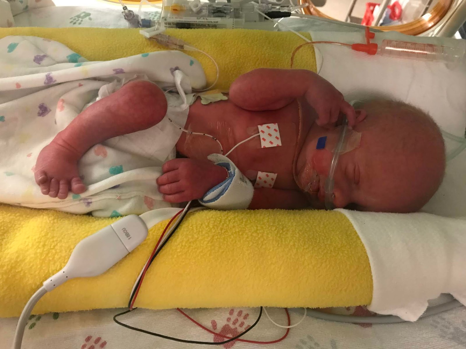 through grace and grief New Growth