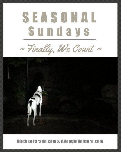 Seasonal Sundays ♥ KitchenParade.com, a seasonal collection of recipes and life ideas in and out of the kitchen.