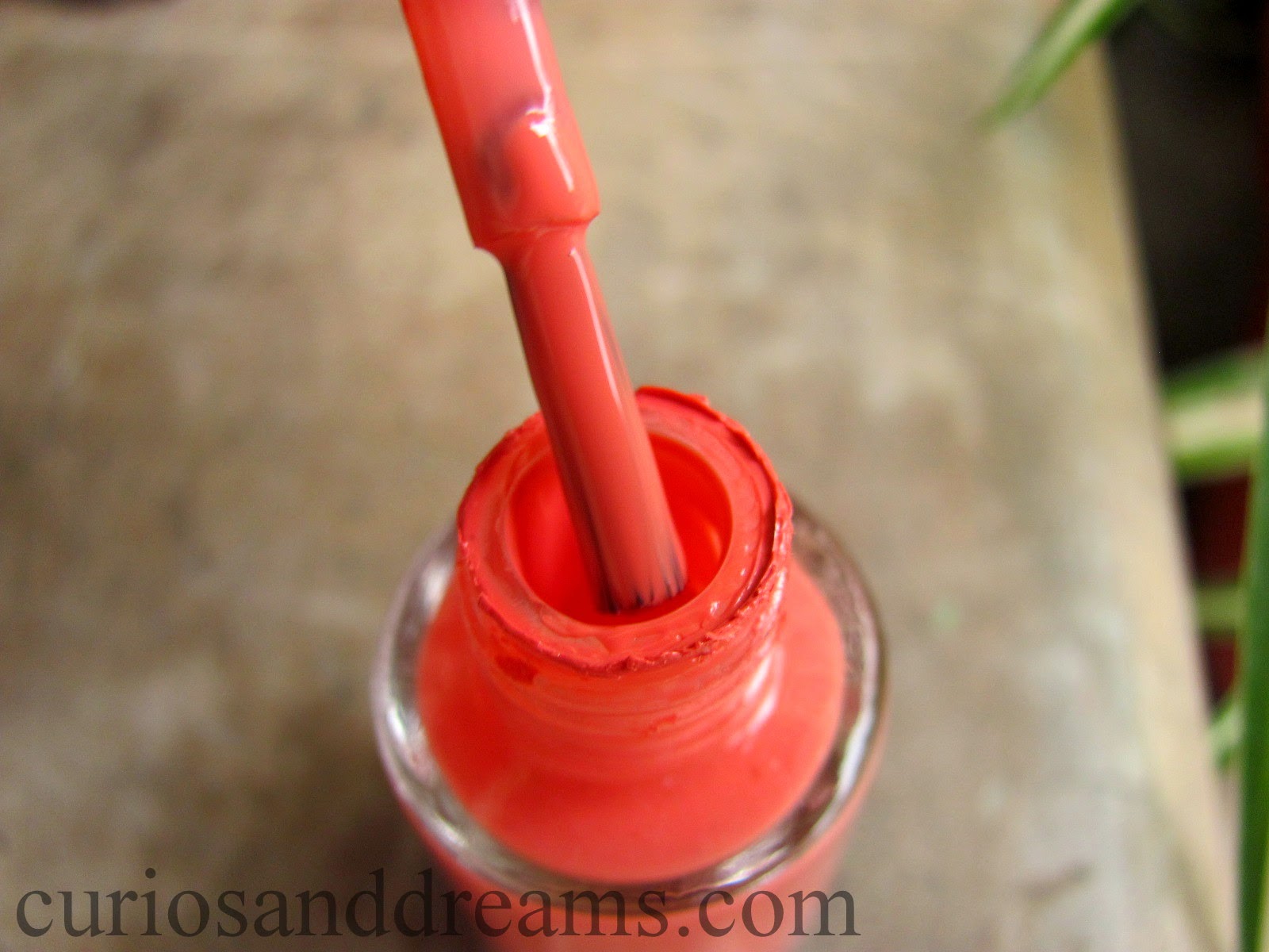 Maybelline Color Show Coral Craze Review