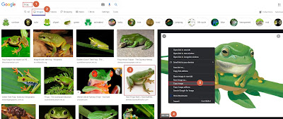 Getting an image from Google
