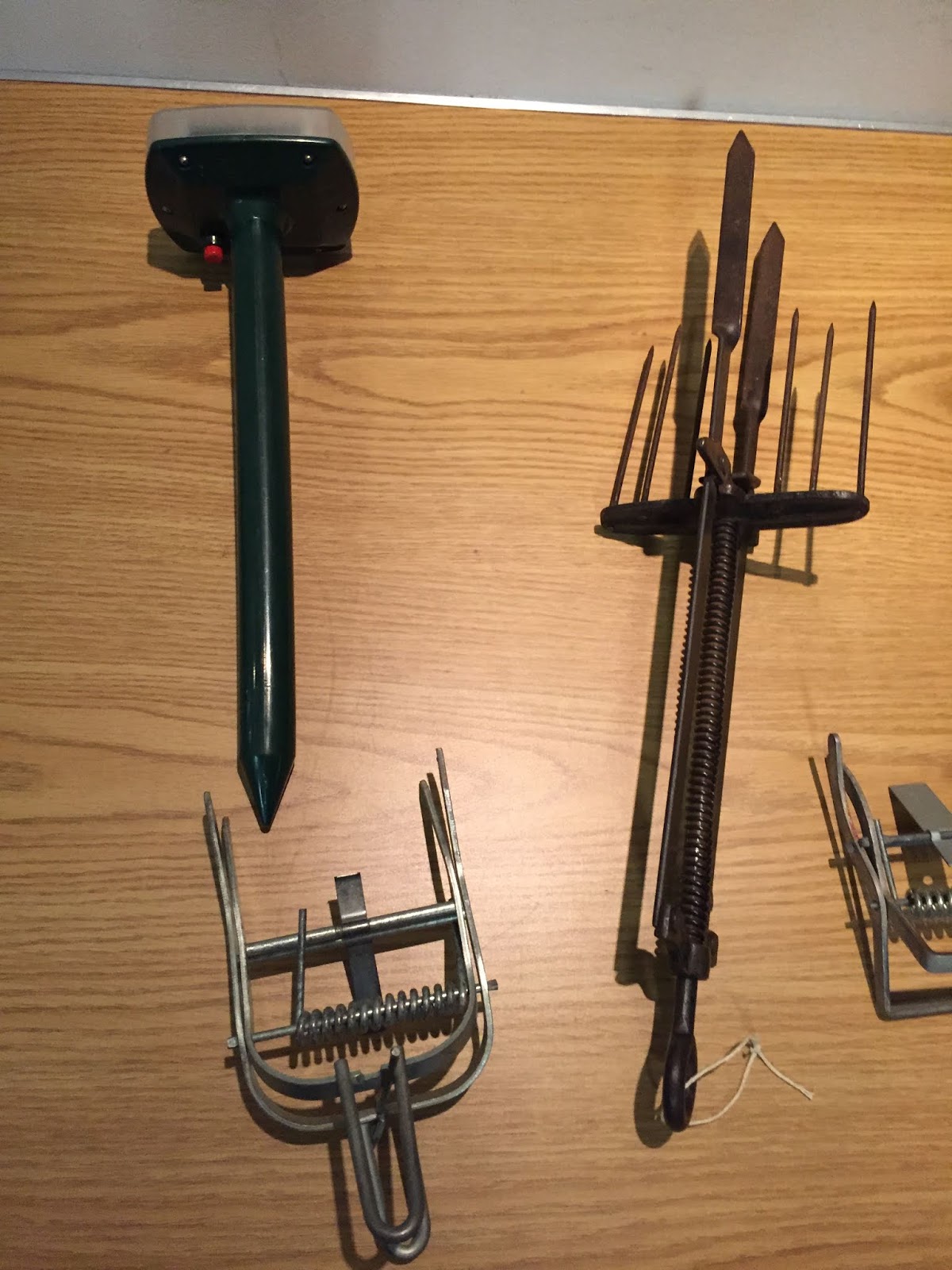 Limpsfield Oxted and District Horticultural Society Chris Stewart The