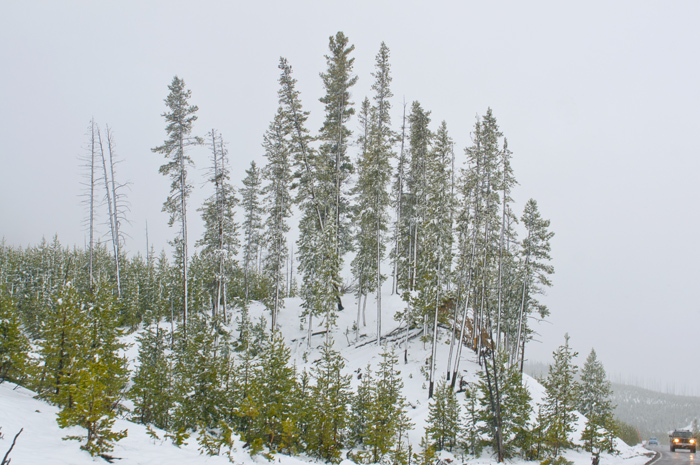 Yellowstone National Park
