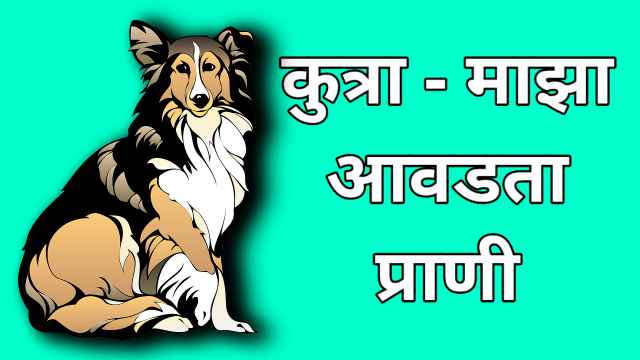dog marathi essay