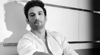 Sushant Singh Rajput Filmography, Roles, Verdict (Hit / Flop), Box Office Collection, And Others