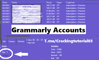 grammarly 07x capture