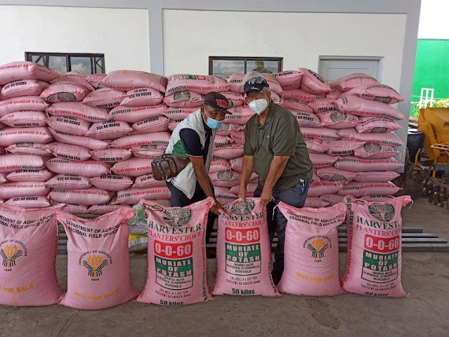 LGU Los Baños, namahagi ng 200 bag ng abono sa mga high value crops farmers