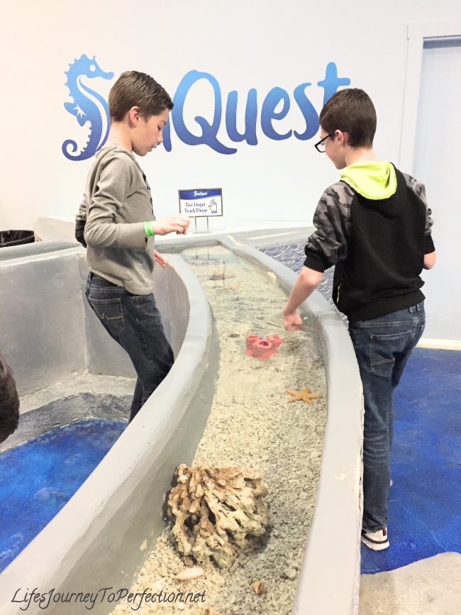 Life's Journey To Perfection A Family Home Evening at SeaQuest Aquarium