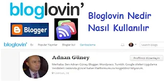 Bloglovin Nedir 