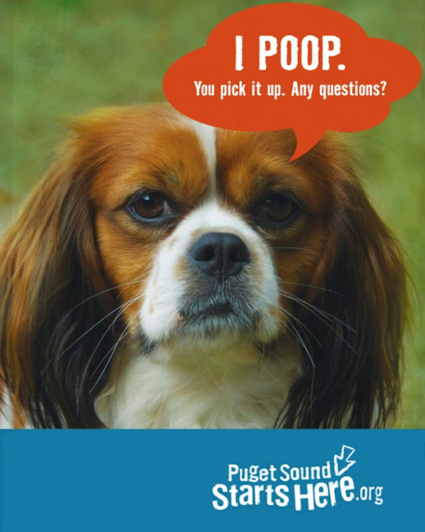 Scoop That Poop! Scoop That Poop!