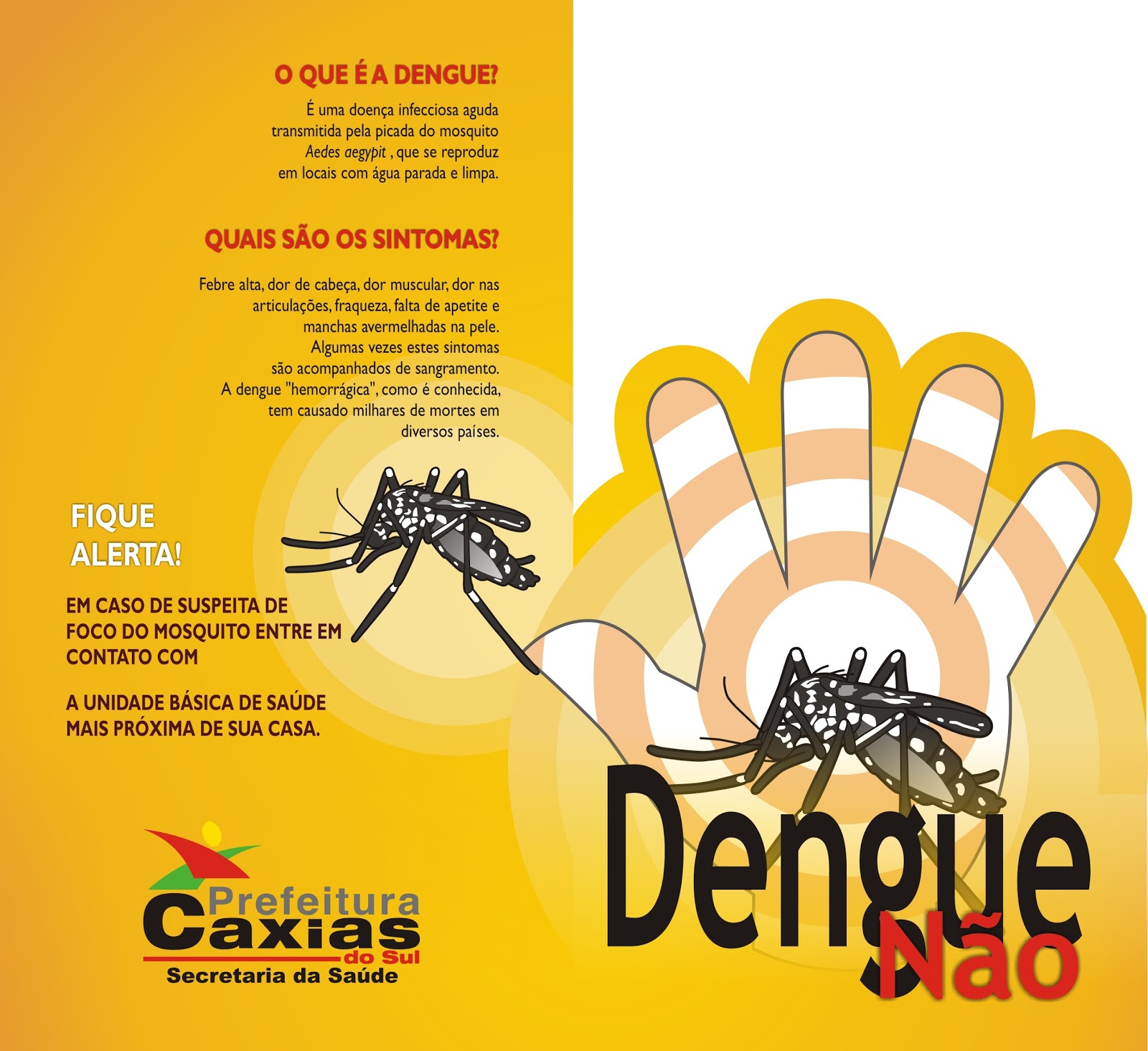 Redaçao Sobre A Dengue 20 Linhas - MAGEDU