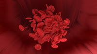 How fast does blood travel round the human body? 