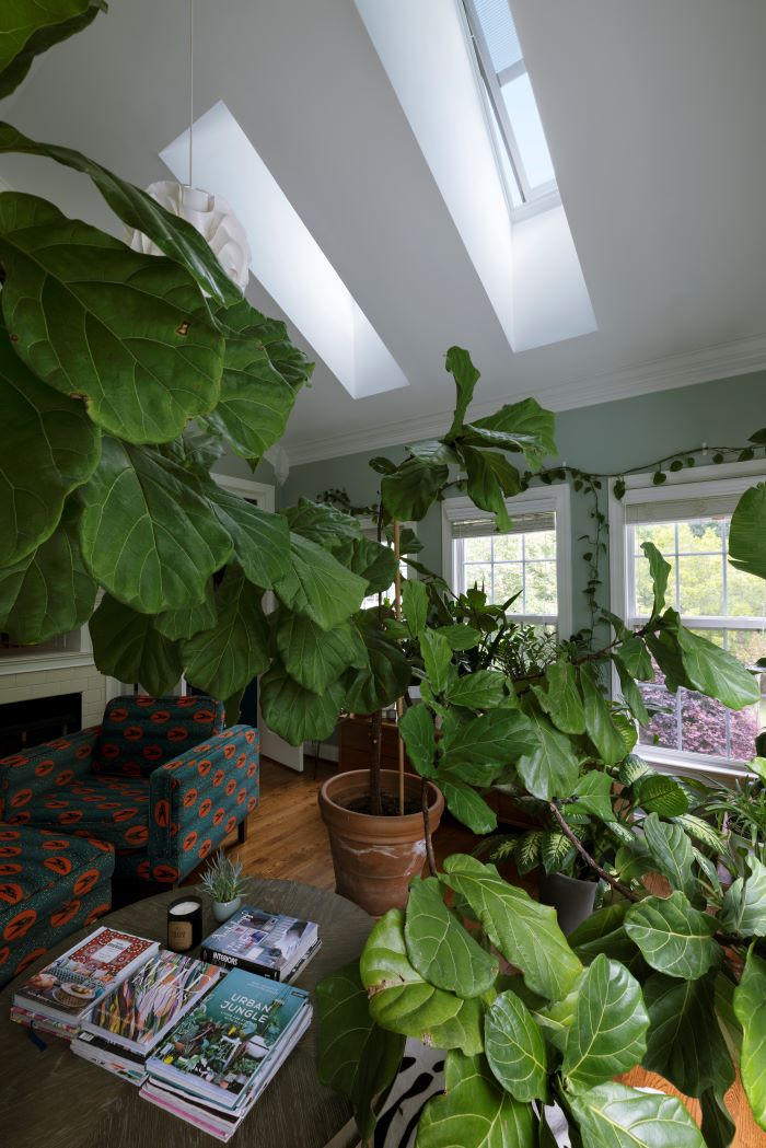 Our New VELUX No Leak Solar Powered "Fresh Air" Skylights In The Sunroom-designaddictmom