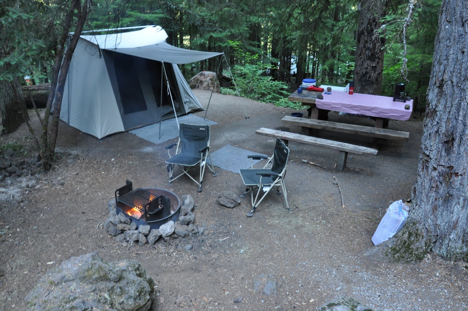 Days Of Holly July 2018