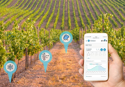 meteo vigne app