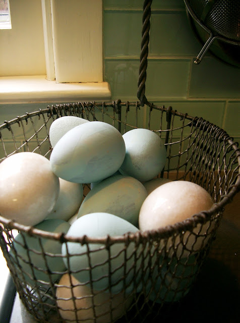 fryer basket eggs linda nelson at the createaerie