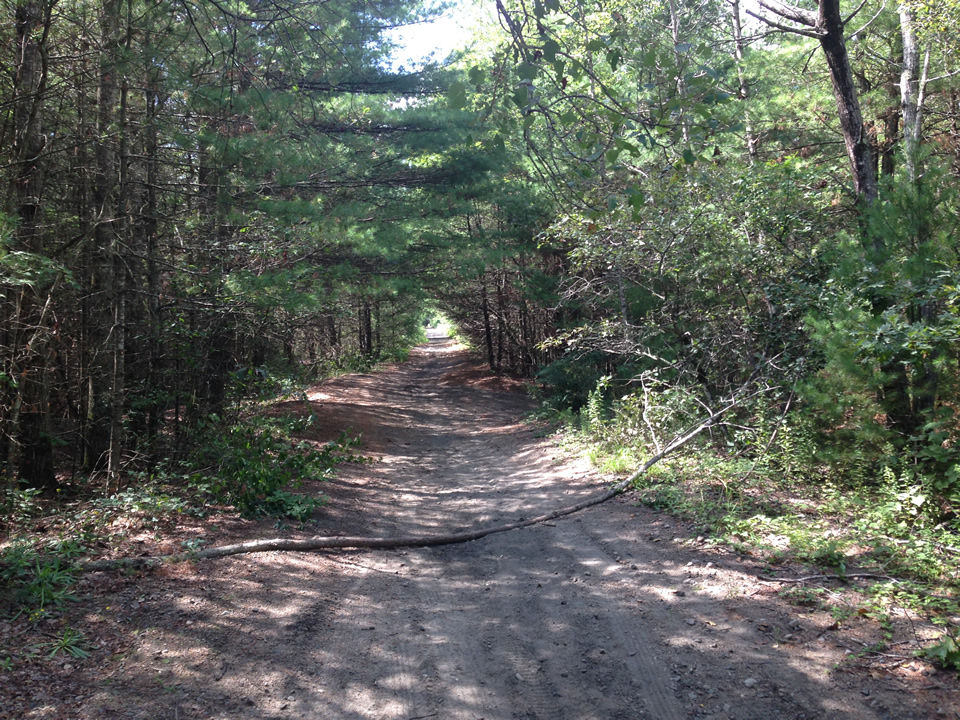 Rich's PedalPoint Trestle Trail Summit, Rhode Island