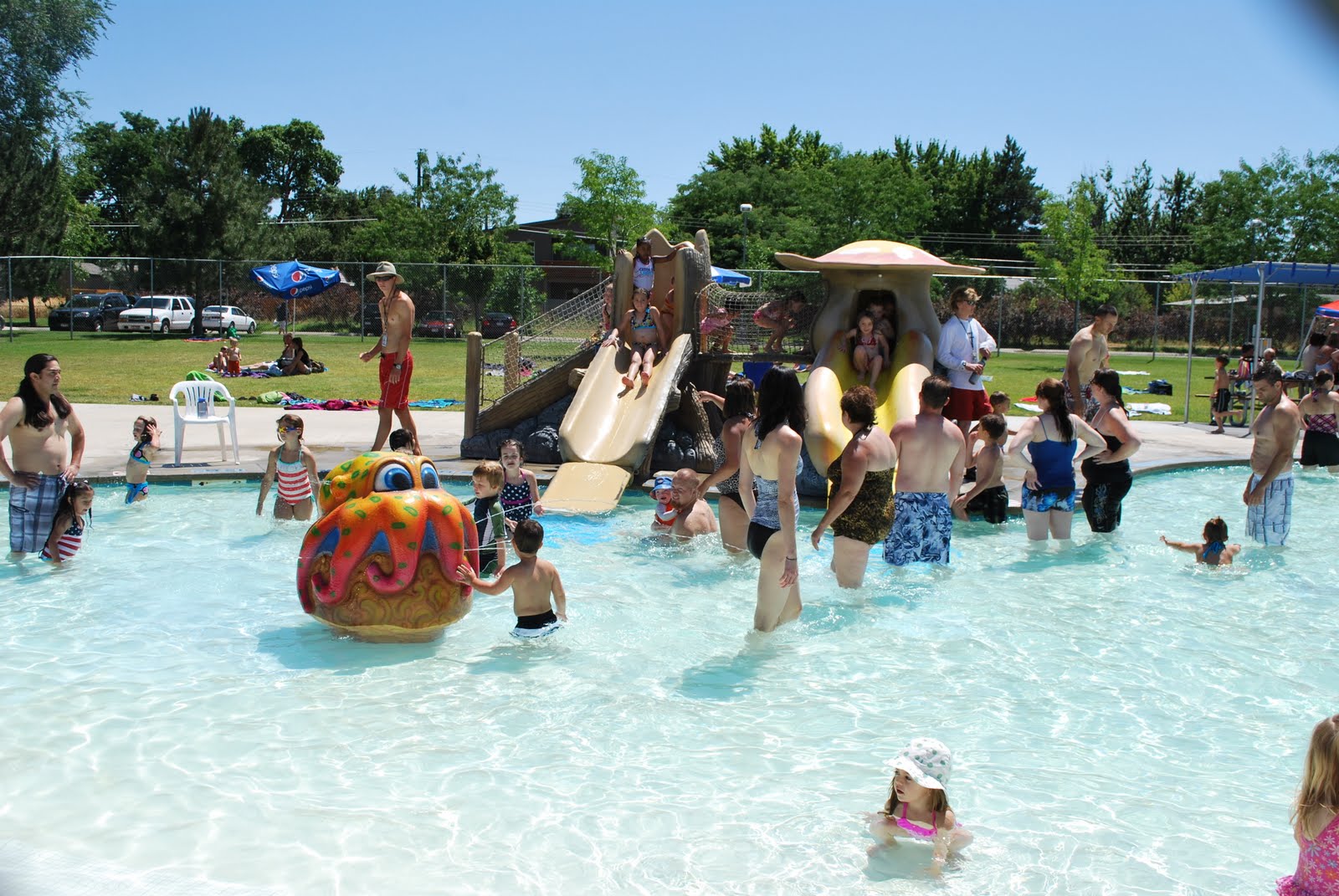 Idaho Unpeeled Ivywild Pool