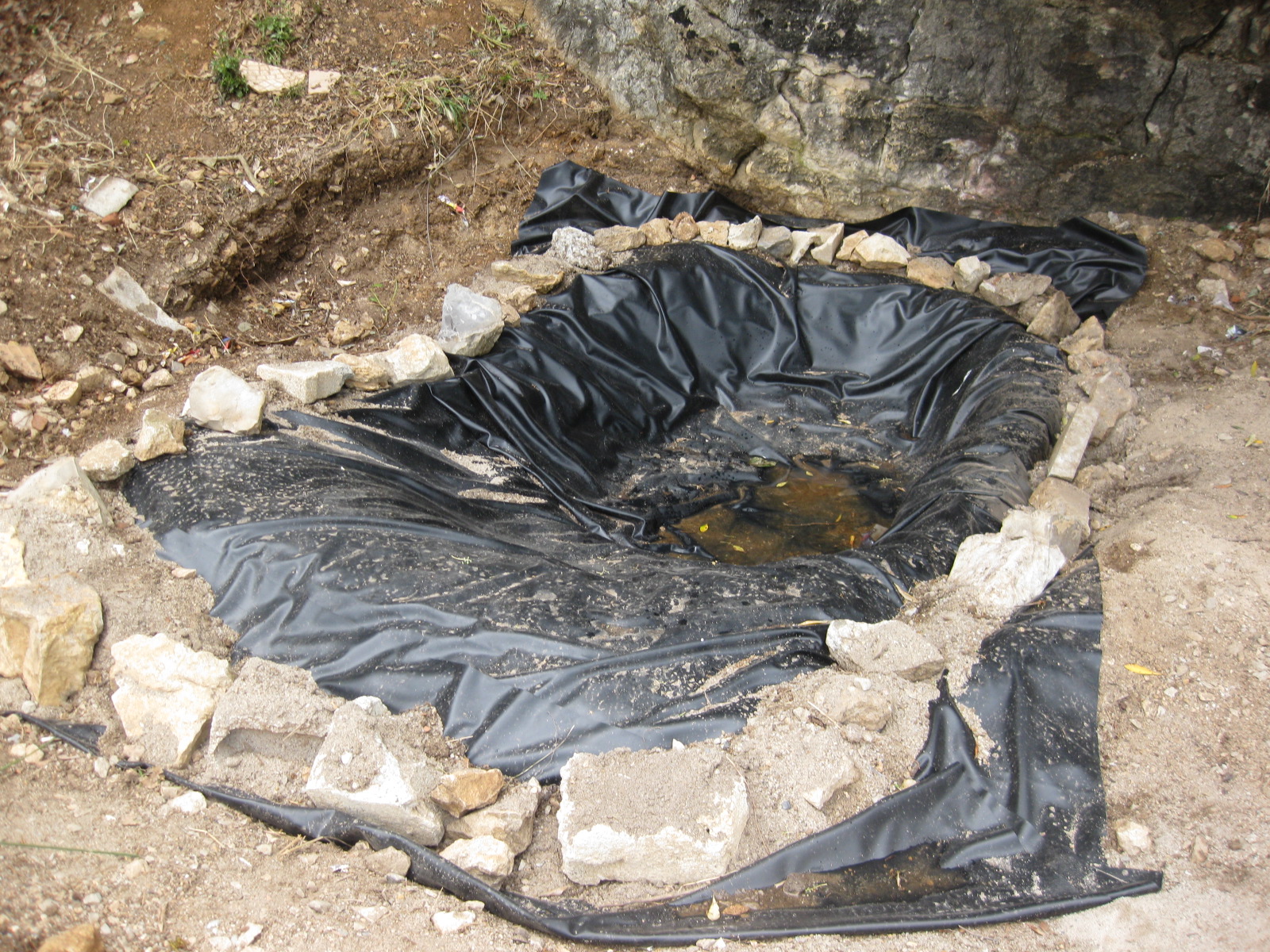 Vamos preservar a nossa mata! Lago artificial!