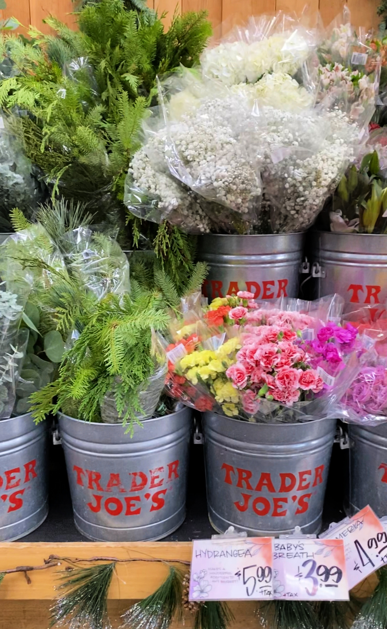 TRADER JOES FLOWERS