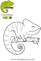 Camaleão camaleão