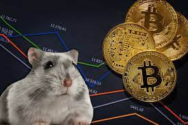 https://swellower.blogspot.com/2021/10/Crypto-trading-hamster-from-Germany-makes-higher-profits-than-most-human-financial-backers.html