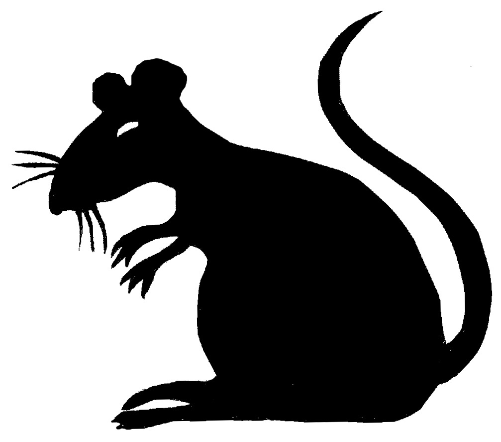 rat clipart black and white - photo #24