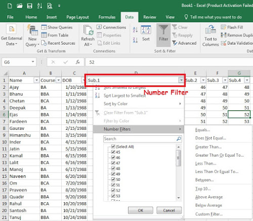 How to use filter in Excel?