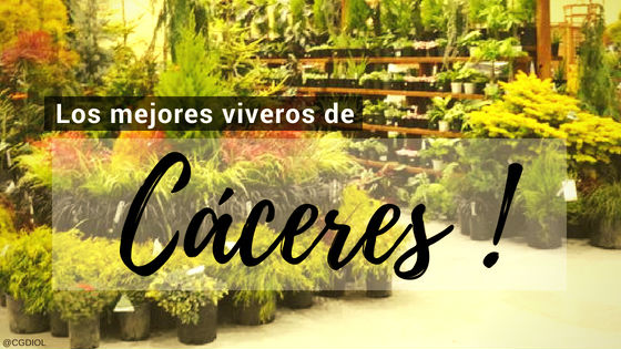 Comprar Plantas Online en Cáceres