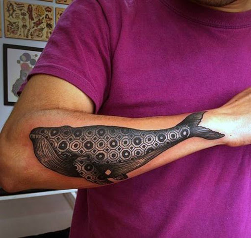 Um psicodelico peixe