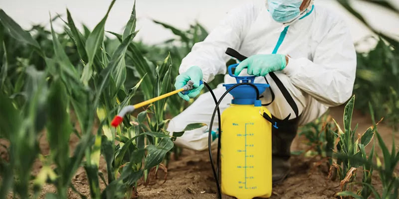 Weed sprayer buying guide Best Weed Sprayer Buyer's Guide
