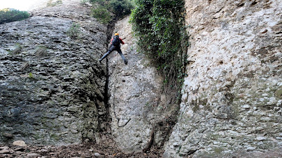 Torrent del Misser