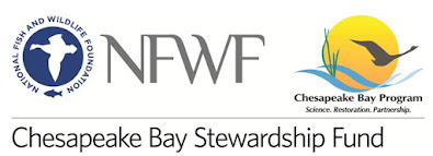 PA Environment Digest Blog: National Fish & Wildlife Foundation Now